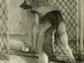 1273467879_half_scheriff_100508-after_walk.jpg